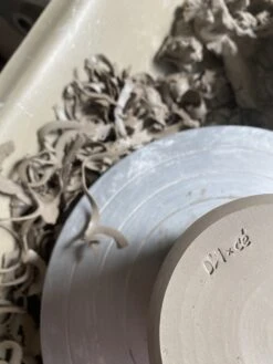 Donna Wilson X Cécile Dumetier Digby Dog Shaped Bowl - Donna Wilson X Cécile Dumetier 6 Donna Wilson X Cécile Dumetier Digby Dog Shaped Bowl - Donna Wilson X Cécile Dumetier -Donna Wilson Store Ceramic Donna Wilson x Cecile Dumetier 2 scaled 1