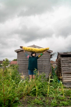 Donna Wilson Hettie Turtleneck Jumper - Green -Donna Wilson Store HettieSweater S1 LoRes SFW
